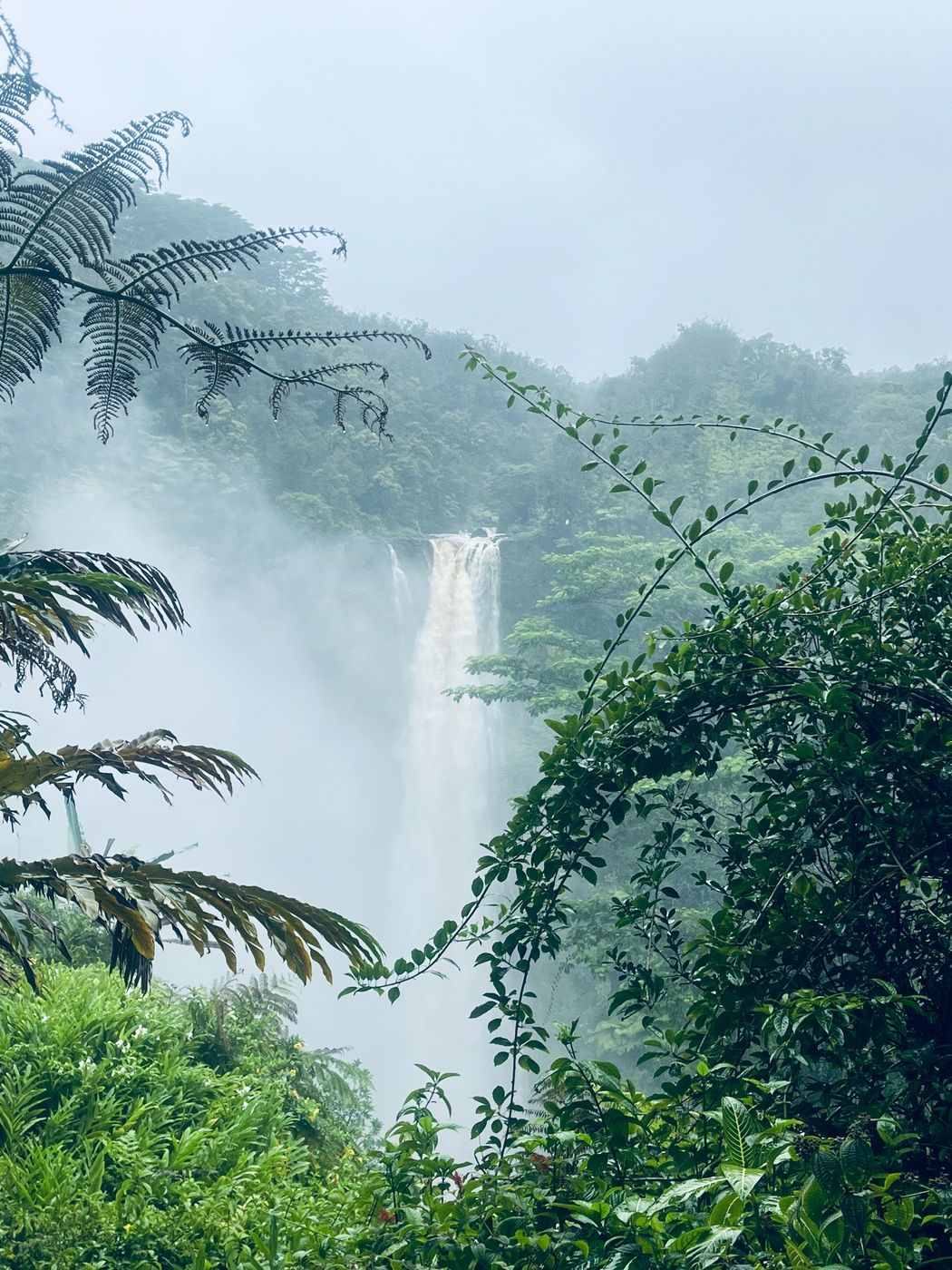 Jungle waterfall in the Hawaiian Islands